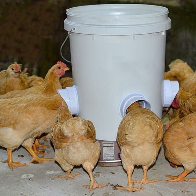 DIY Chicken Feeder, No Waste Chicken Feeder with Rat Stopper Caps with 4 Ports and 1 Hole Saw, Rain Proof and Insect Proof, for Barrels Boxes, Troughs