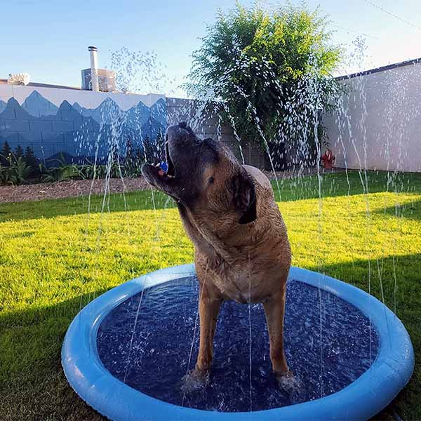 The Splashy Mat, Summer Sprinkle Pad for Pets and Kids