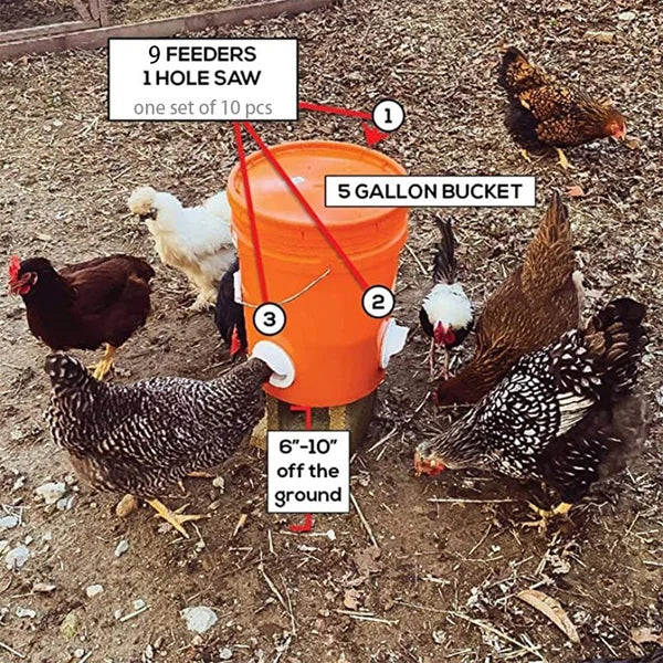 DIY Chicken Feeder, No Waste Chicken Feeder with Rat Stopper Caps with 4 Ports and 1 Hole Saw, Rain Proof and Insect Proof, for Barrels Boxes, Troughs