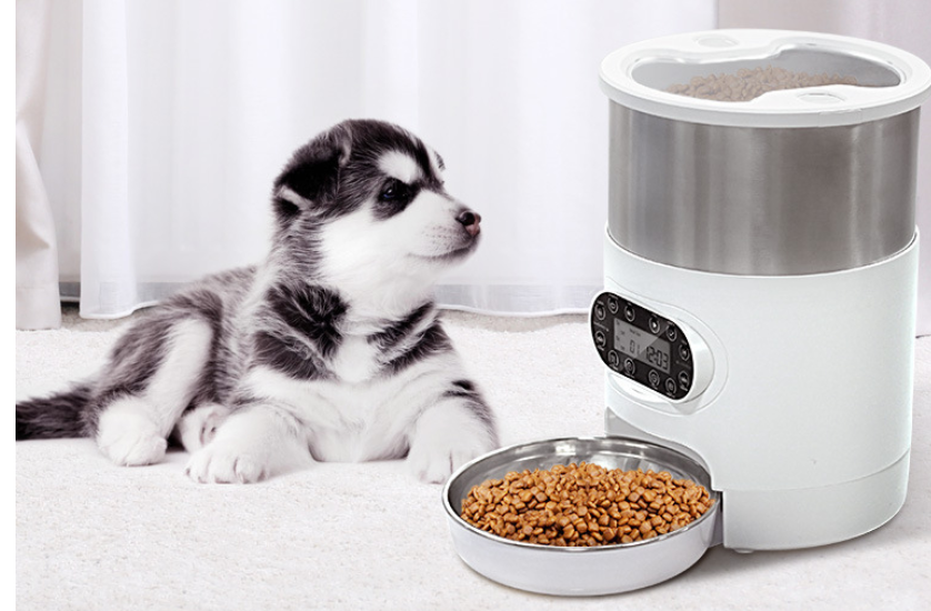 A closer look at Alarm Clock Feeder Pet