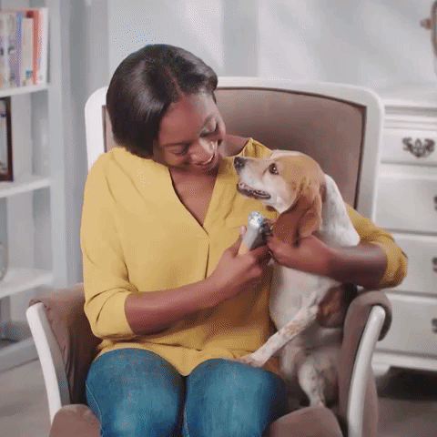 Best Dog Nail Clipper With Quick Sensors, with Sensor, LED Night and Nail Catcher, Safe & Easy To Trim Your Dog's Nails