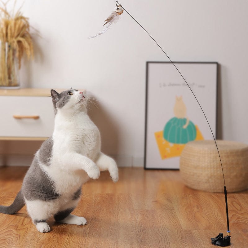 Interactive Bird Simulation Cat Toy