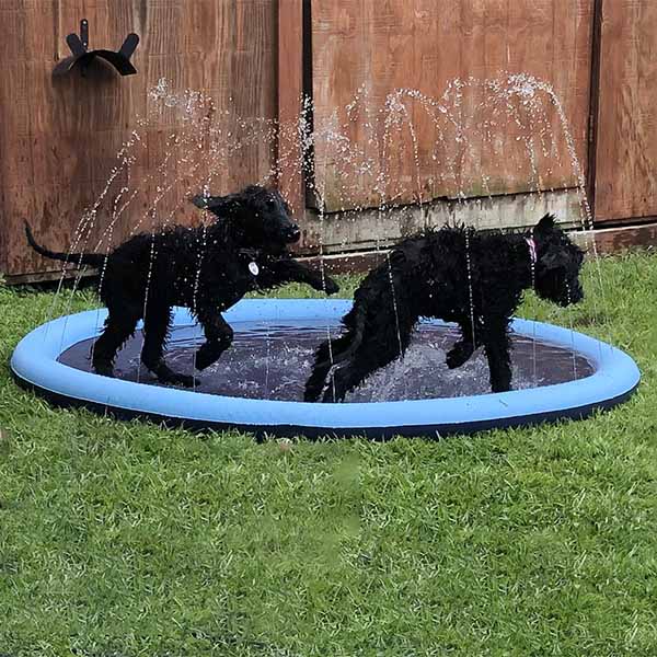 The Splashy Mat, Summer Sprinkle Pad for Pets and Kids